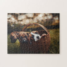 Hundepuzzles Tierbild Niedliche, schlaue Welpenfot