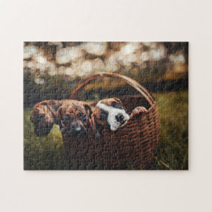 Hundepuzzles Tierbild Niedliche, schlaue Welpenfot Puzzle