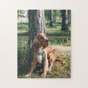 Hundepuzzles Tierbild Niedliche, schlaue Welpenfot Puzzle