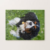 Hundepuzzles Tierbild Niedliche, schlaue Welpenfot Puzzle (Horizontal)