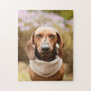 Hundepuzzles Tierbild Niedliche, schlaue Welpenfot Puzzle