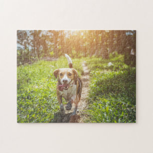 Hundepuzzles Tierbild Niedliche, schlaue Welpenfot Puzzle