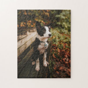 Hundepuzzles Tierbild Niedliche, schlaue Welpenfot Puzzle