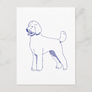 Hunderasse Goldendoodle Postkarte