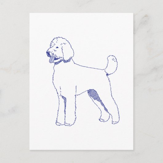 Hunderasse Goldendoodle Postkarte (Vorderseite)