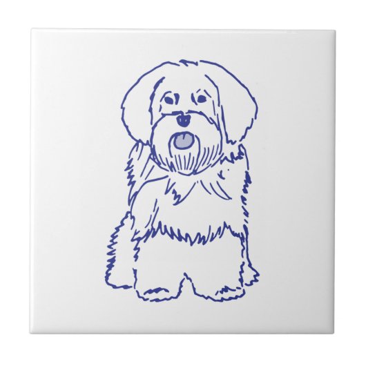 Hunderasse Havanese Fliese (Vorderseite)