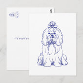 Hunderasse Shih Tzu Postkarte (Vorne/Hinten)