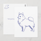 Hunderasse Spitz Postkarte (Vorne/Hinten)