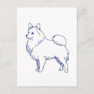 Hunderasse Spitz Postkarte
