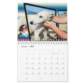 Hunderassen, Kalender (Jan 2027)