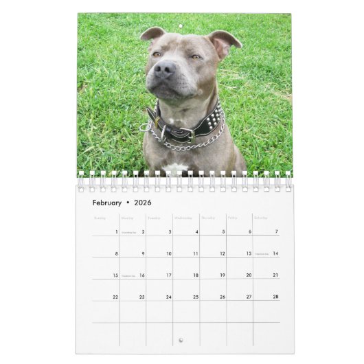 Hunderassen, Kalender (Feb 2026)