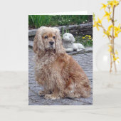 Hunderaum-Gruß-Karte Cocker spaniels blonde Karte (Gelbe Blume)