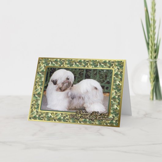 Hunderaum-Weihnachtskarte Lhasas Apso Feiertagskarte (Vorderseite)