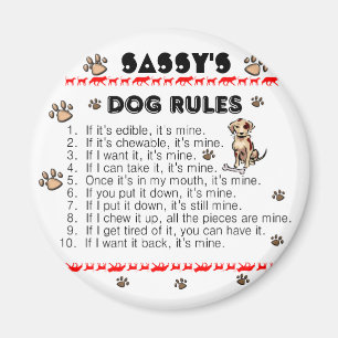 Hunderegeln Magnet