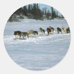 Hunderennen, Yukon Runder Aufkleber