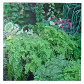 Hundert Schattierungen von Grün sind schön Fliese (Vorderseite)