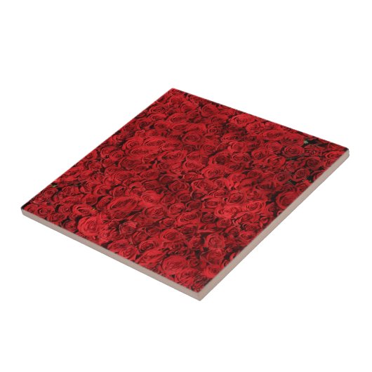 Hunderte schöne Rote Rosen Fliese (Seite)