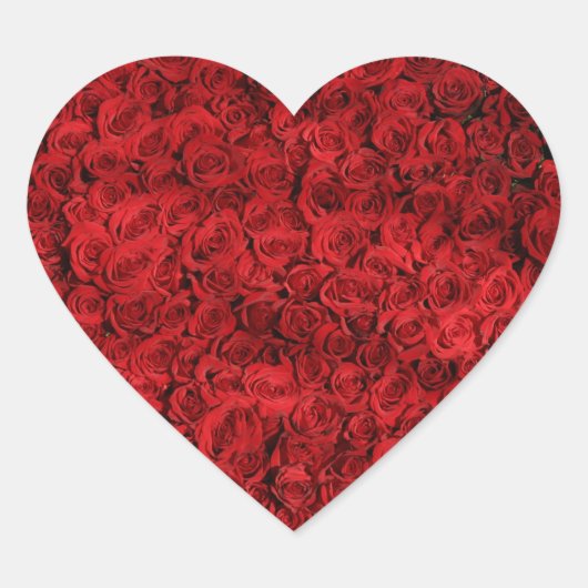 Hunderte schöne Rote Rosen Herz-Aufkleber (Vorderseite)