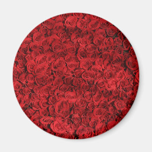 Hunderte schöne Rote Rosen Magnet