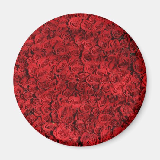 Hunderte schöne Rote Rosen Magnet (Vorne)