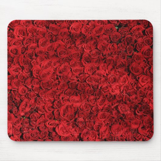 Hunderte schöne Rote Rosen Mousepad (Vorne)