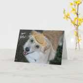 Hunderuhestand, Brille und Fischhut Karte (Gelbe Blume)