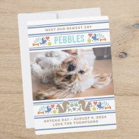 Hunde's Lieblings-Gotcha-Tag Ankündigung