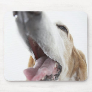 Hunde's-Nase, Nahaufnahme Mousepad