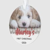 Hundes Personalisiertes Weihnachtsschmuck Ornament (Vorderseite)
