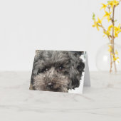 Hundescharte der Familie Karte (Gelbe Blume)