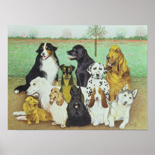 Hundeschau Poster (Vorne)