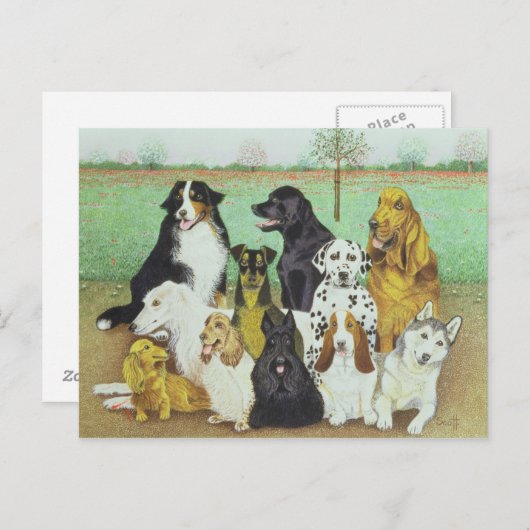 Hundeschau Postkarte (Vorne/Hinten)