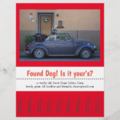 Hundescheibe entdeckt flyer (Vorne)