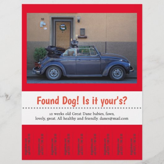 Hundescheibe entdeckt flyer (Vorne)