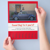 Hundescheibe entdeckt flyer (Hand)