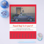 Hundescheibe entdeckt flyer (Einzeln)