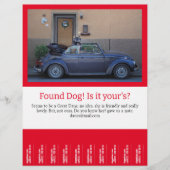 Hundescheibe entdeckt flyer (Vorne)