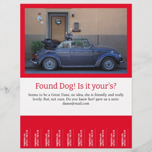 Hundescheibe entdeckt flyer (Vorne)