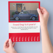 Hundescheibe entdeckt flyer (Hand)