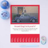 Hundescheibe entdeckt flyer (Einzeln)