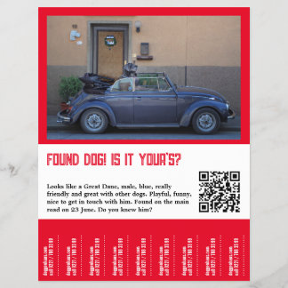 Hundescheibe entdeckt flyer