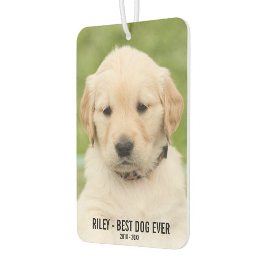 Hundeschema, 2 Fotos, Bester Hund je, Auto Autolufterfrischer (Links)