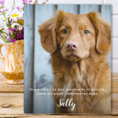 Hundeschenkgutschrift - Pet Loss Keepake- Hund-Bei Fotoplatte