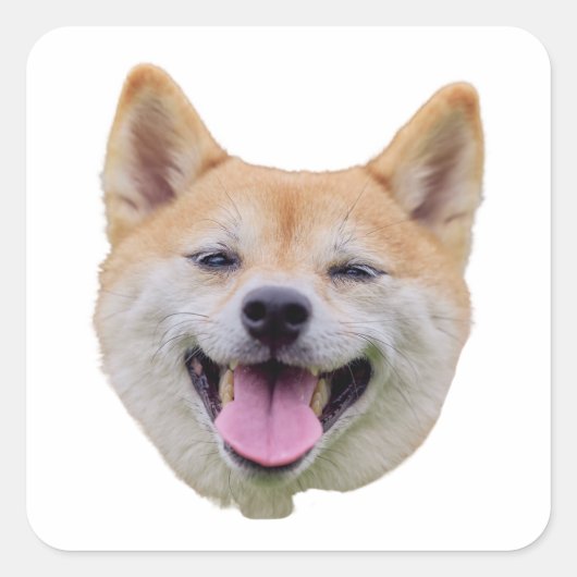 Hundeschild, Hundeschenkgeschenke, Gesichtsmaske Quadratischer Aufkleber (Vorderseite)