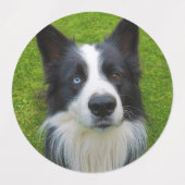 Hundeschilde Etiketten (Design 2)