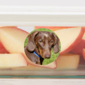 Hundeschilde Etiketten (Befestigt)