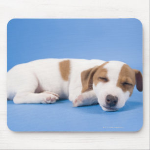 Hundeschlafen Mousepad
