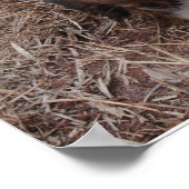 Hundeschlage Poster (Ecke)