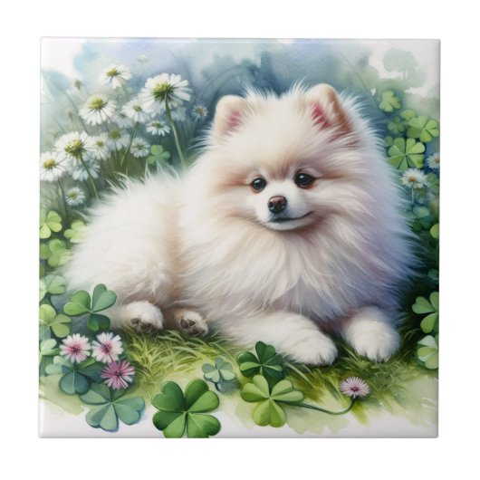 Hundeschleife mit weißem Spitz Fliese (Vorderseite)