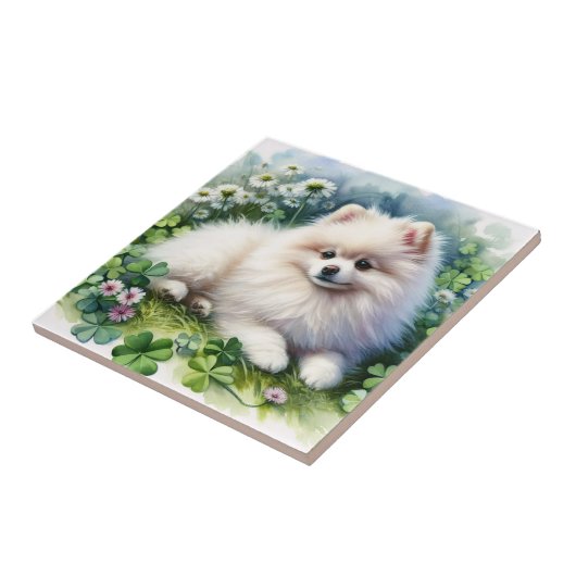 Hundeschleife mit weißem Spitz Fliese (Seite)